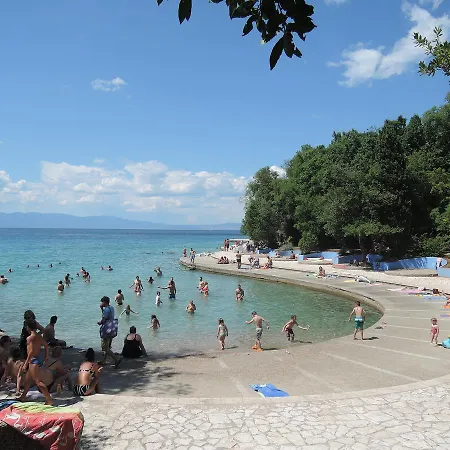 Pink Mimosa Malinska