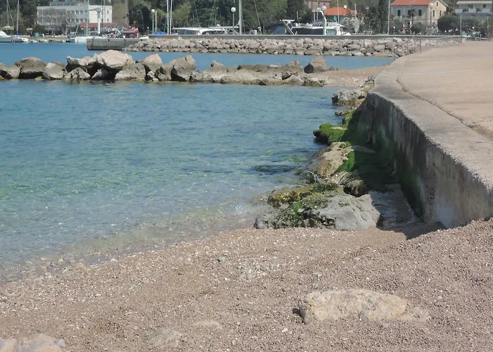 Pink Mimosa * 马林斯卡