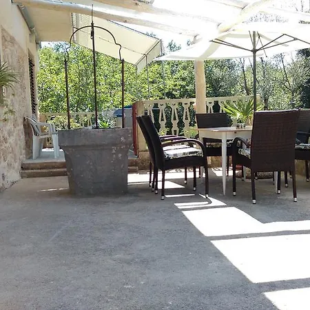 Pink Mimosa Appartamento *