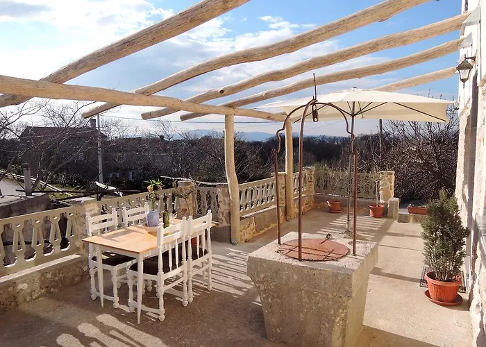 Pink Mimosa Daire Malinska