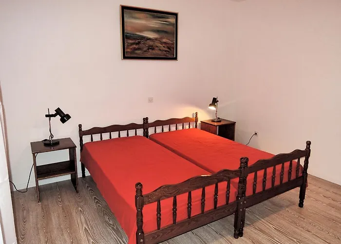 Pink Mimosa Daire Malinska