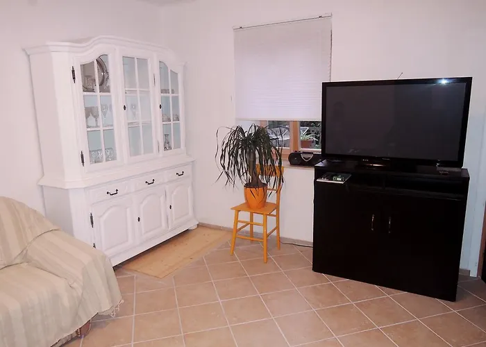 Pink Mimosa Daire Malinska