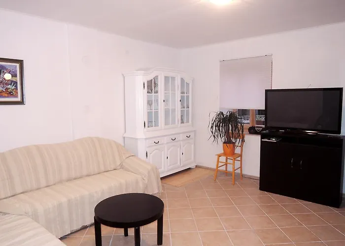 Pink Mimosa Malinska