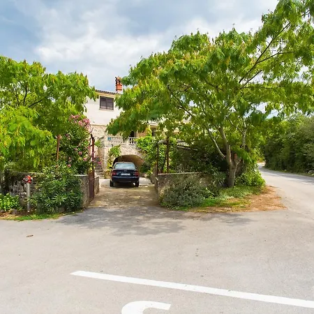 Apartman Pink Mimosa