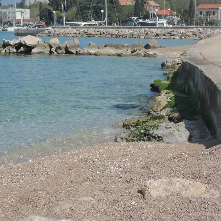 Pink Mimosa * Malinska